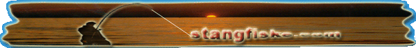 stangfiske.com
